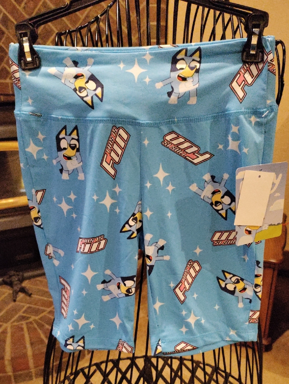 Bluey (This Is Fun) Women's Bike Shorts